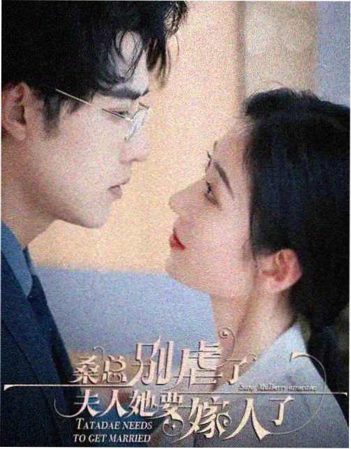 开源替代软件入口卡片示意图，跨平台桌面修图工具界面